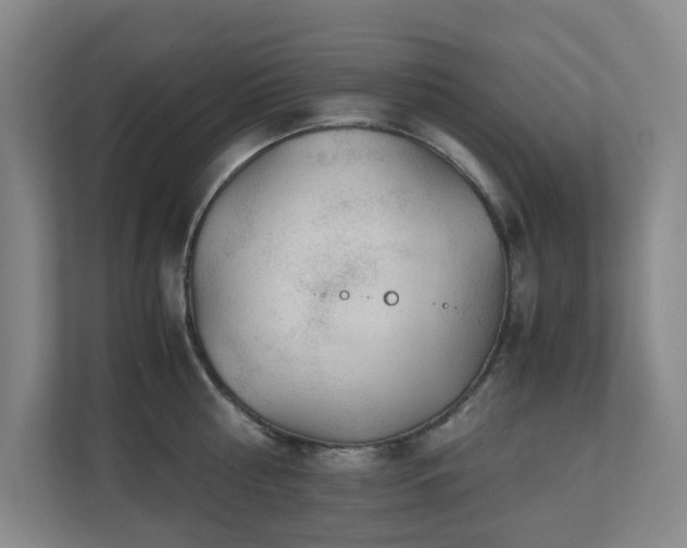 X0000110770810200906151324