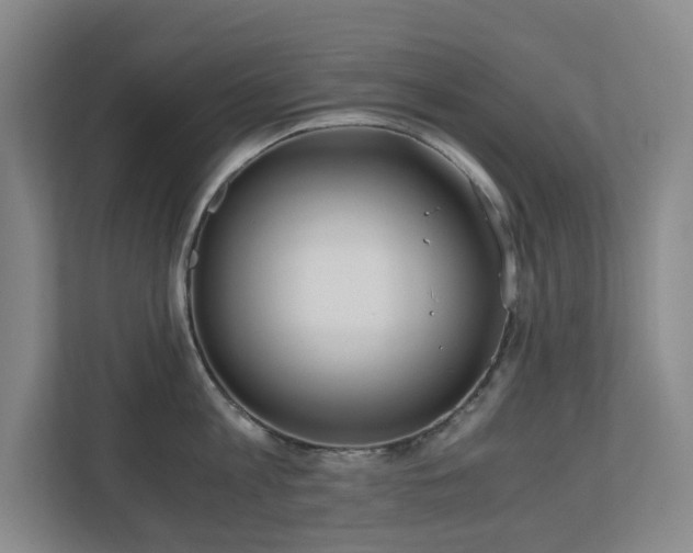 X0000110770813200906151324