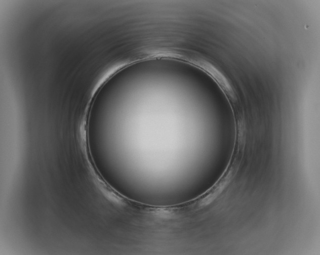 X0000110770814200906151324