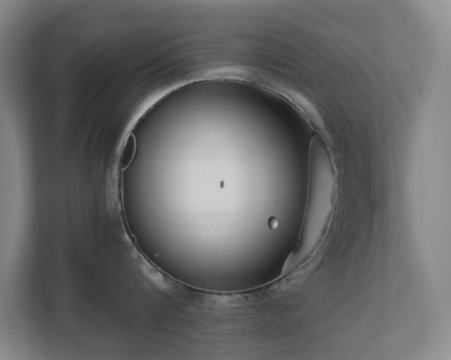 X0000110770816200906151324