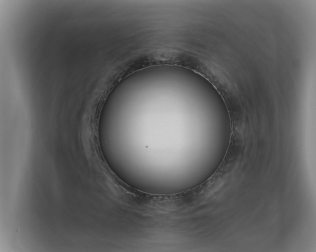 X0000110770817200906151324