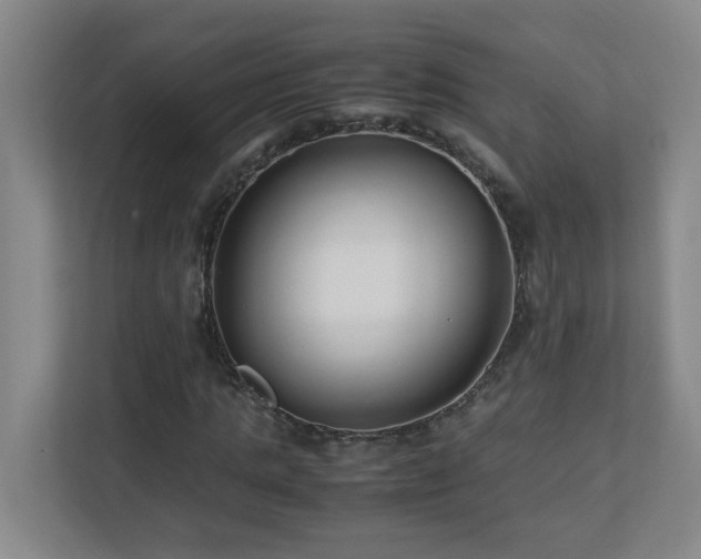 X0000110770821200906151324