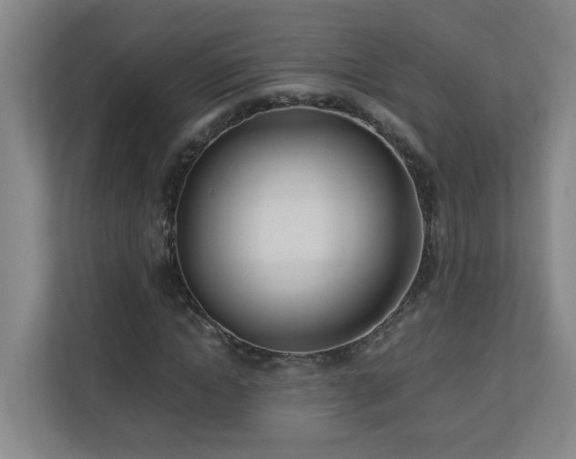 X0000110770822200906151324