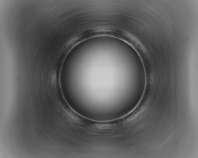 X0000110770825200906151324