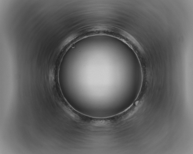 X0000110770826200906151324