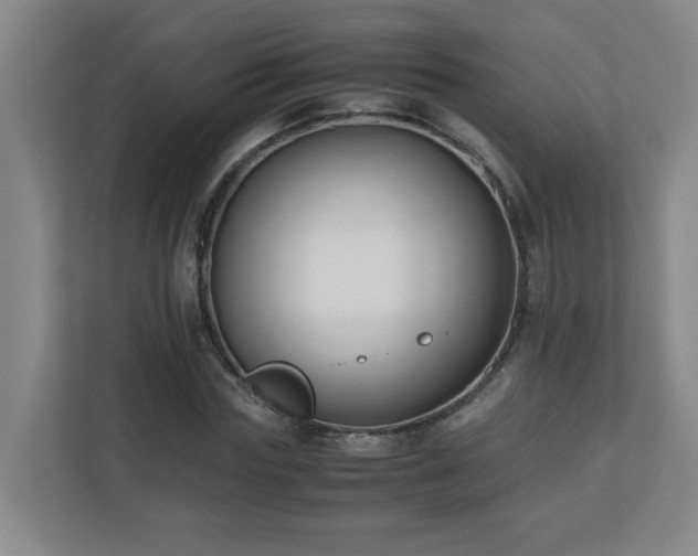 X0000110770827200906151324