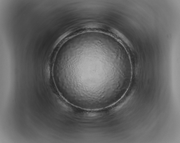 X0000110770829200906151324