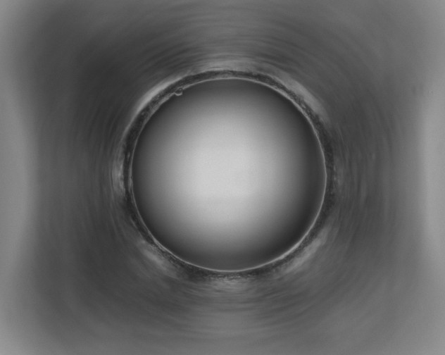 X0000110770830200906151324