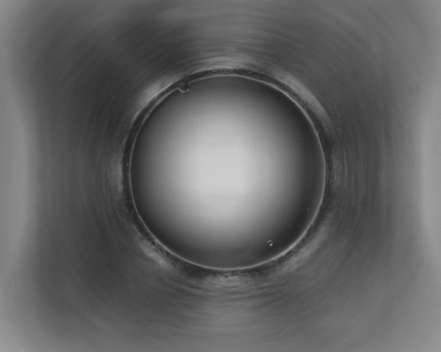 X0000110770834200906151324