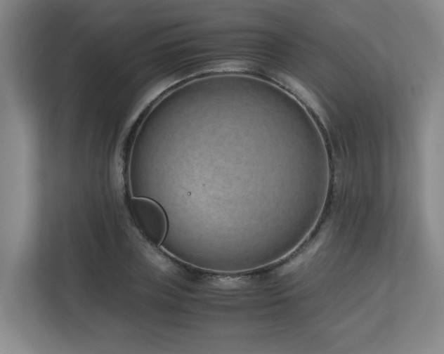 X0000110770835200906151324