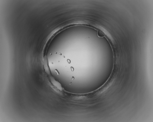 X0000110770837200906151324