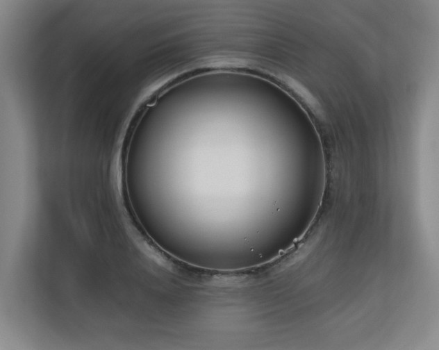 X0000110770840200906151324