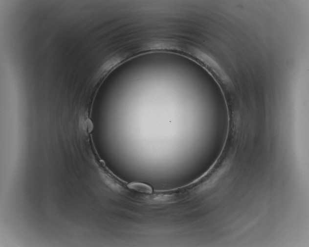 X0000110770841200906151324