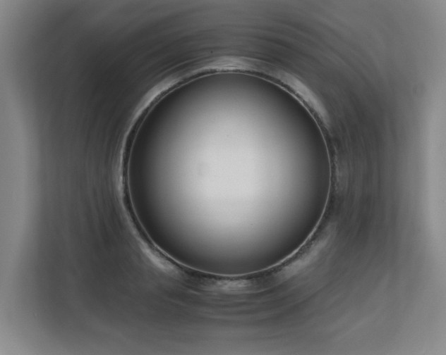 X0000110770845200906151324