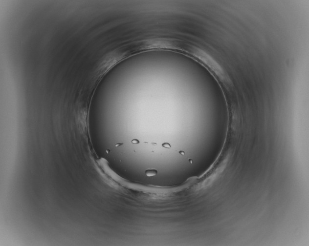 X0000110770849200906151324