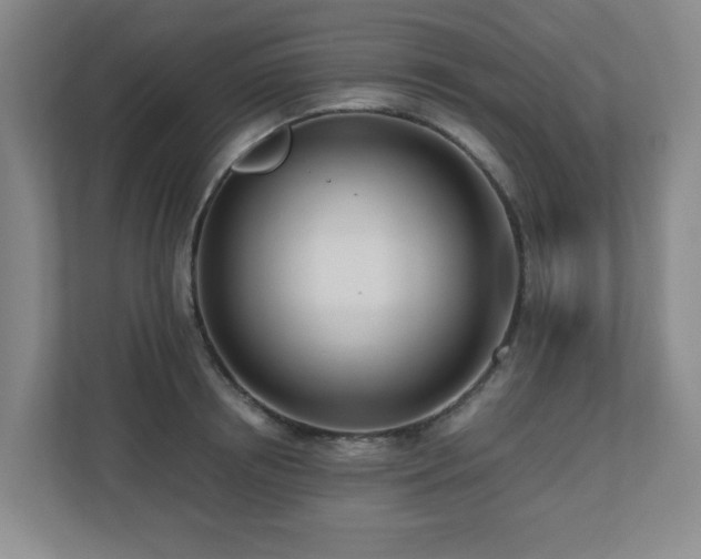 X0000110770850200906151324