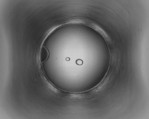 X0000110770852200906151324