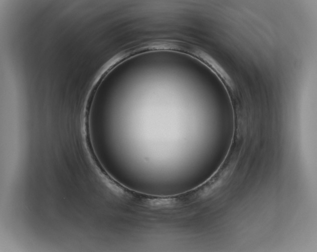 X0000110770853200906151324