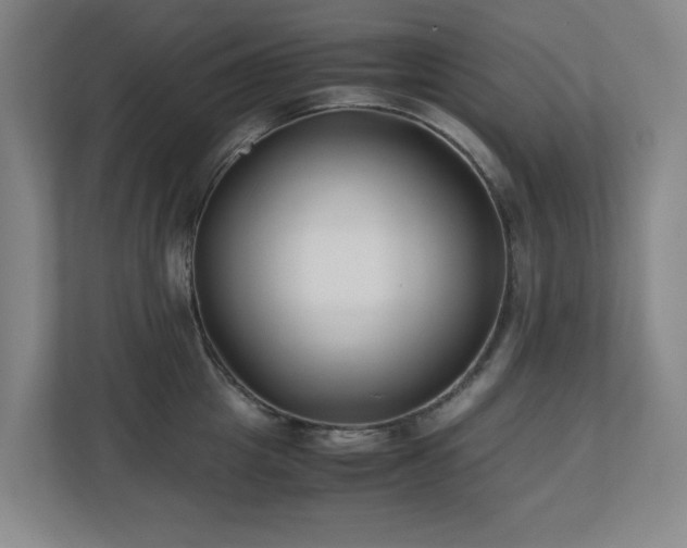 X0000110770857200906151324