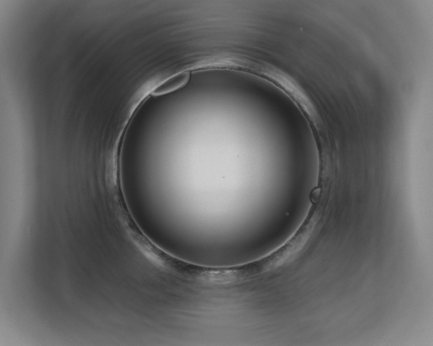 X0000110770858200906151324