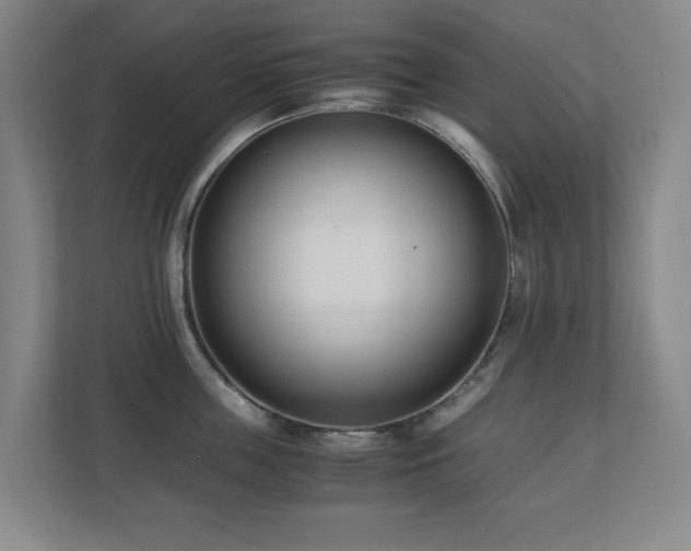 X0000110770859200906151324