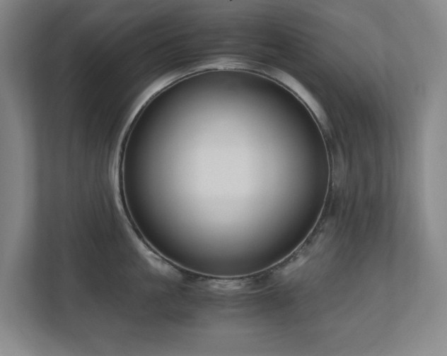 X0000110770861200906151324