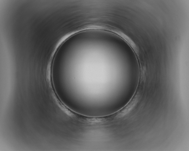 X0000110770862200906151324