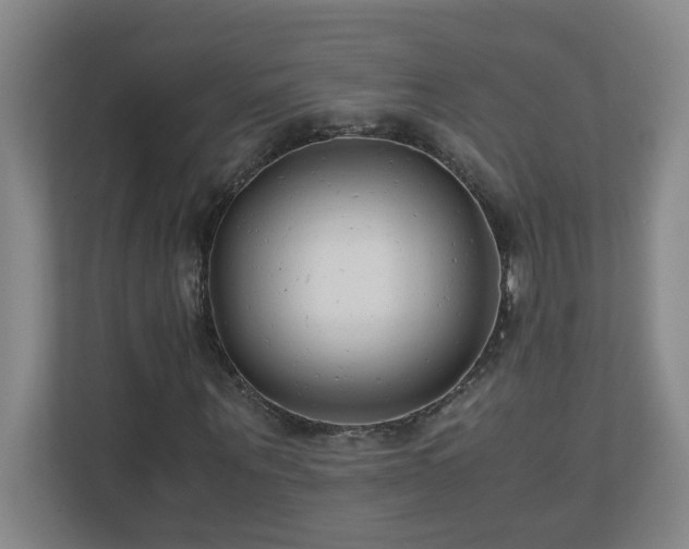 X0000110770867200906151324