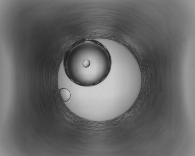 X0000110770868200906151324