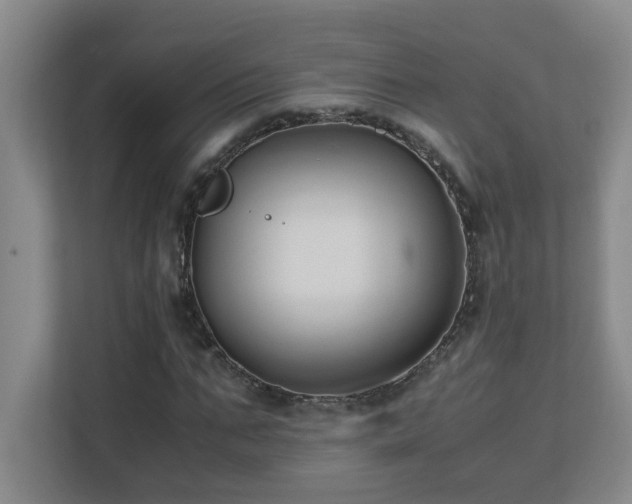 X0000110770871200906151324