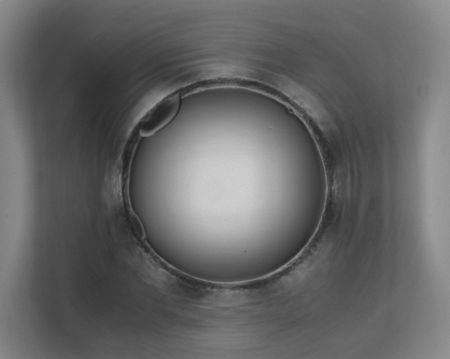 X0000110770877200906151323