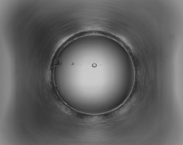 X0000110770879200906151323