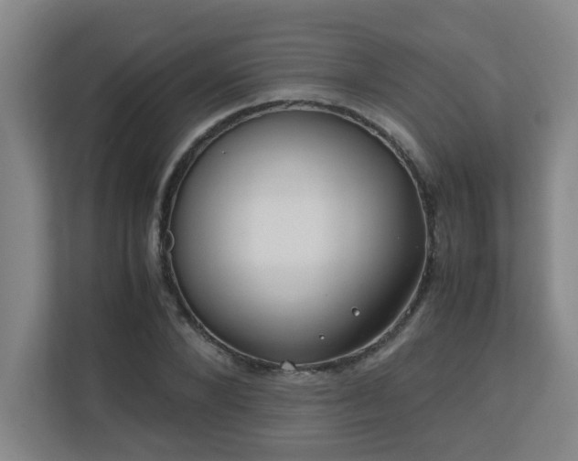 X0000110770880200906151323