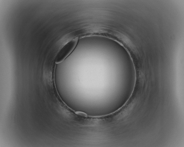 X0000110770881200906151323