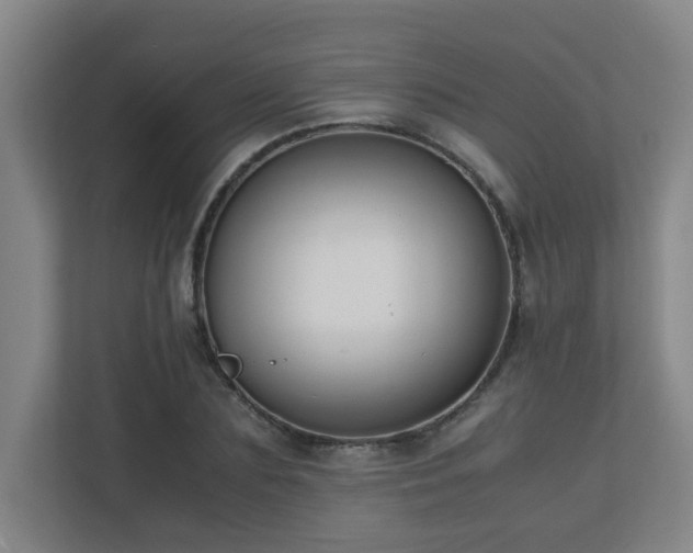 X0000110770883200906151323