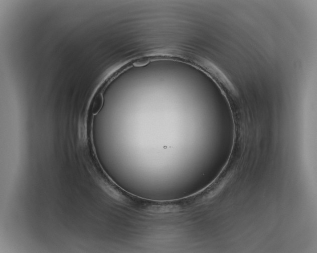 X0000110770884200906151323