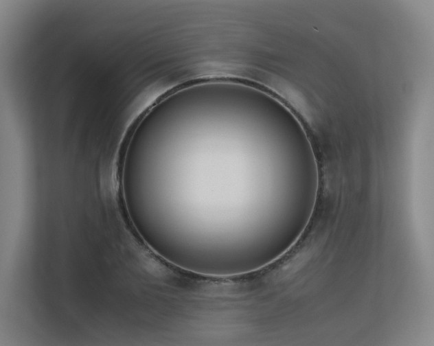 X0000110770885200906151323