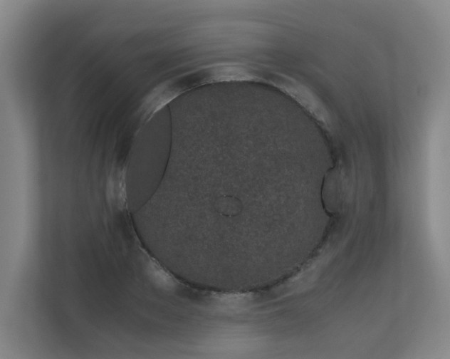 X0000110770889200906151323