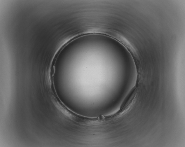 X0000110770892200906151323