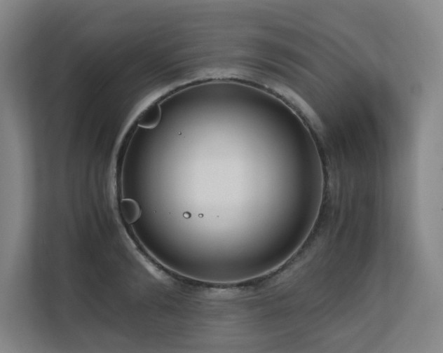 X0000110770894200906151323