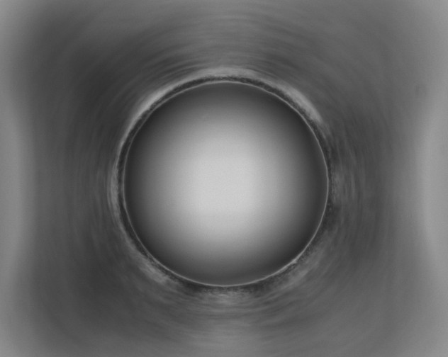 X0000110770895200906151323