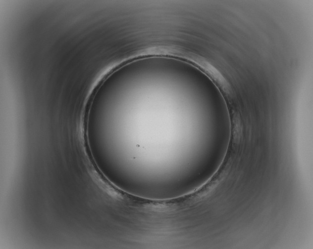 X0000110770896200906151323