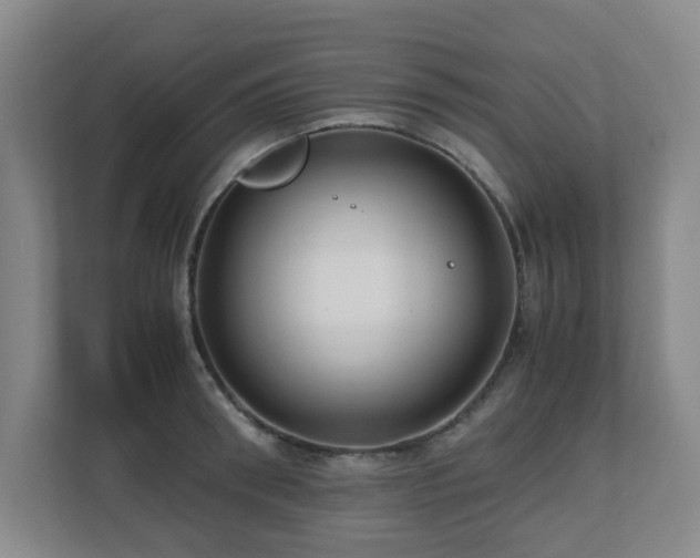 X0000110770898200906151323