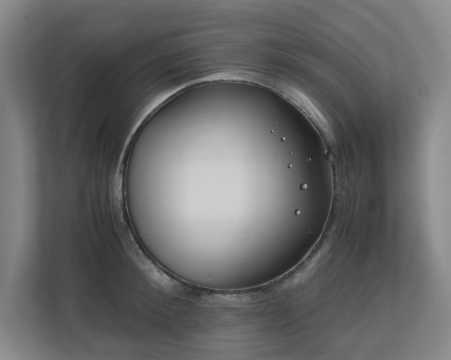 X0000110770900200906151323