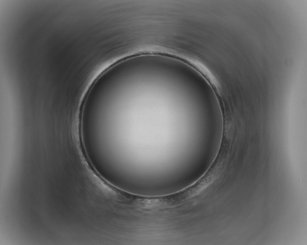 X0000110770903200906151323