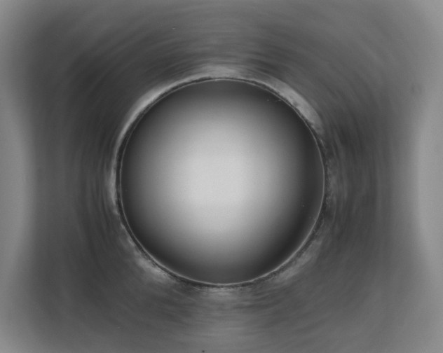 X0000110770904200906151323