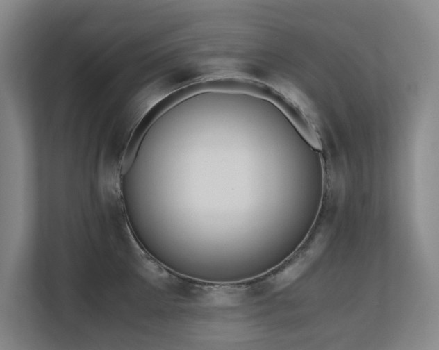 X0000110770905200906151323