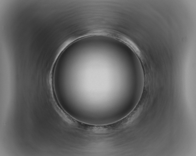 X0000110770907200906151323