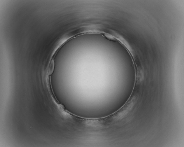 X0000110770909200906151323