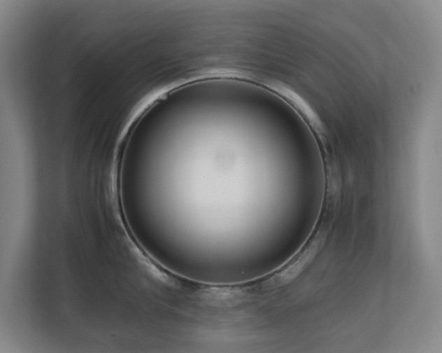 X0000110770910200906151323